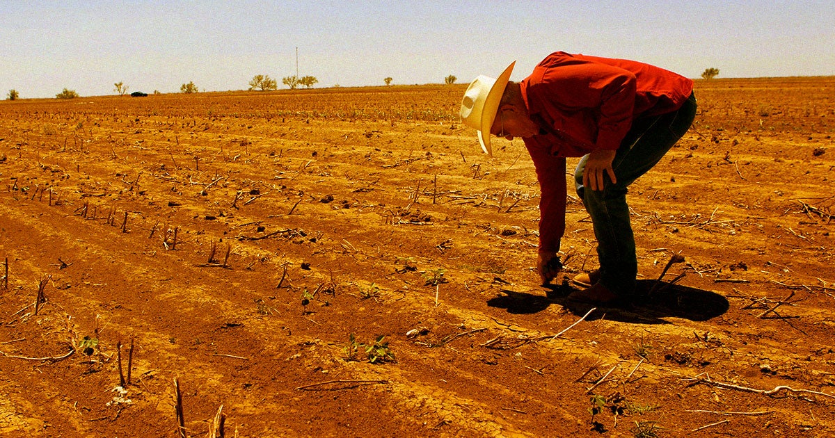 The American West's "megadrought" has made the region the driest it's been in more than a millennium. 