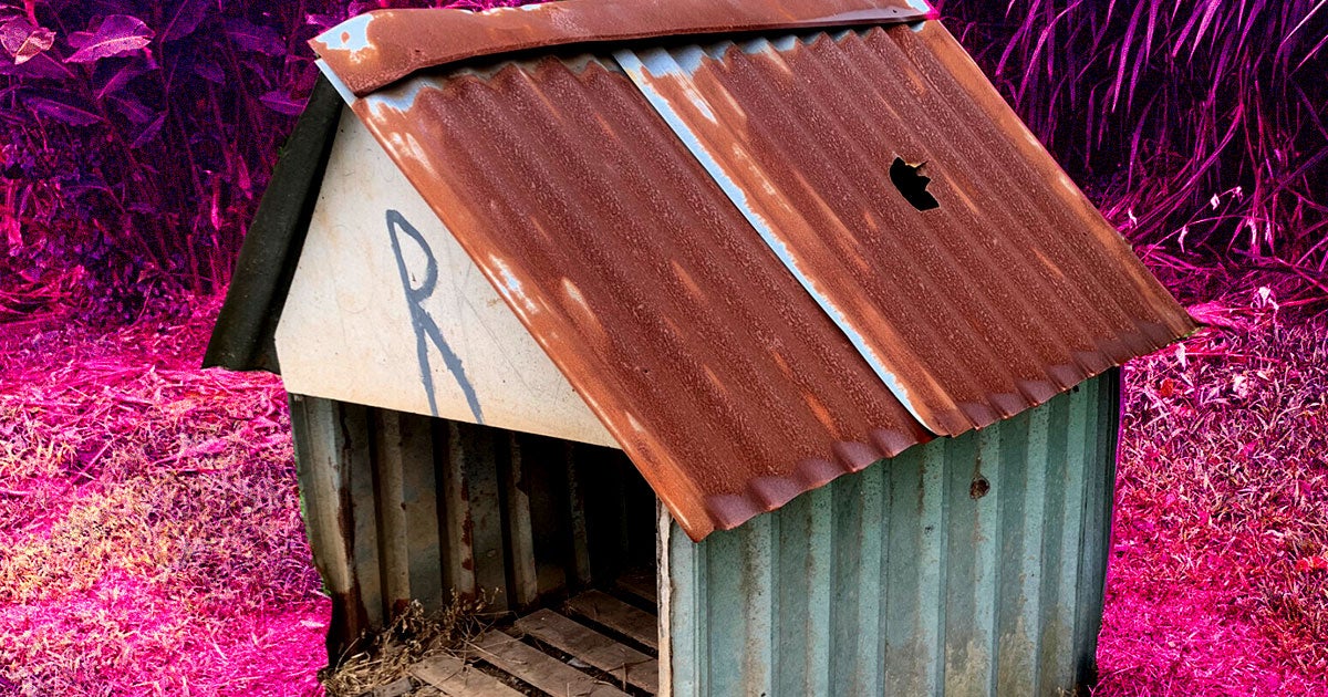 A doghouse with a seven inch hole in its roof created by a meteorite is being auctioned on world renowned auction house Christie's.
