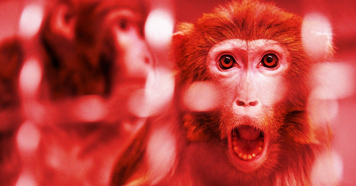 Neuralink has responded via blog post to say that yes, they have euthanized a few monkeys during the brain experiments. 