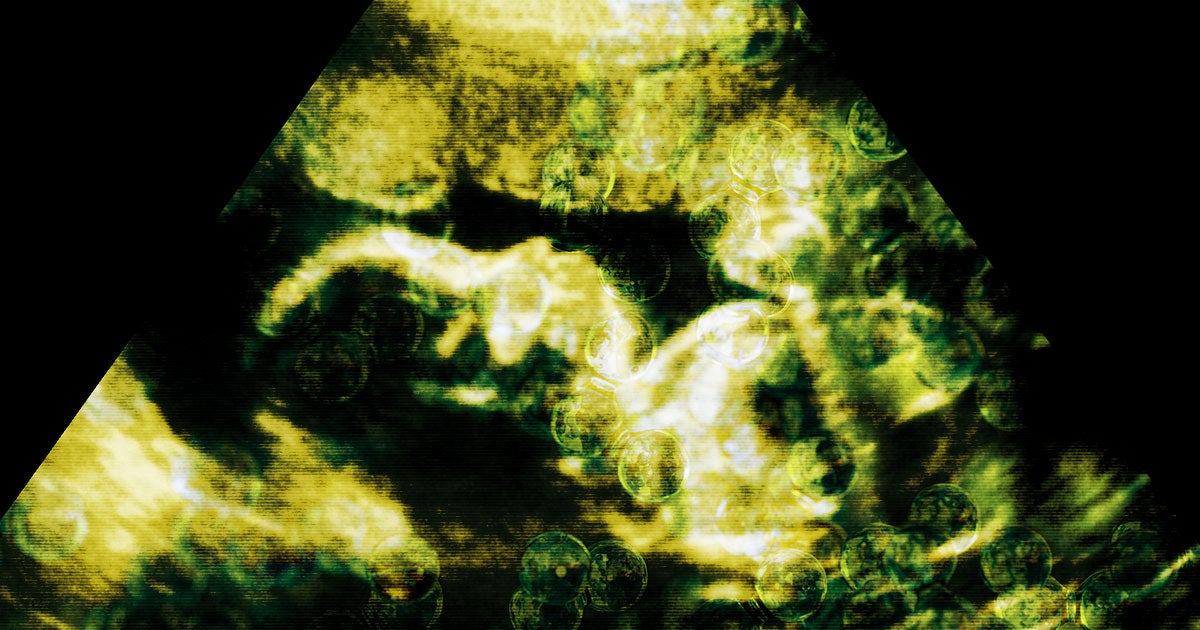 Researchers in Norway have discovered evidence of microplastic in newborn babies. They believe it's impossible to stop kids from ingesting plastic.