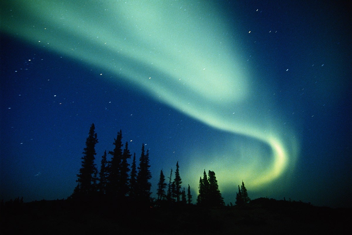 If you live in the Northern part of the United States and catch a glimpse of the aurora borealis tonight, you'll have a "cannibal" solar explosion to thank. 
