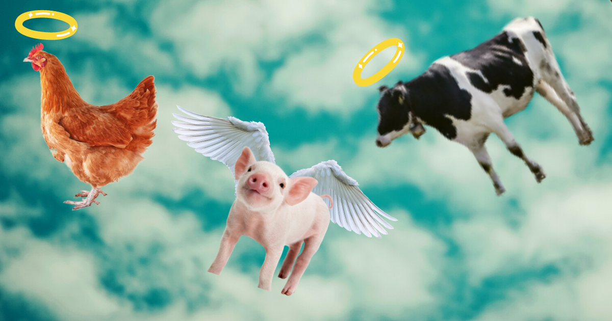 Impossible Foods CEO Patrick Brown says nobody will be eating meat from animal agriculture by 2035, positive news for the environment and climate change.