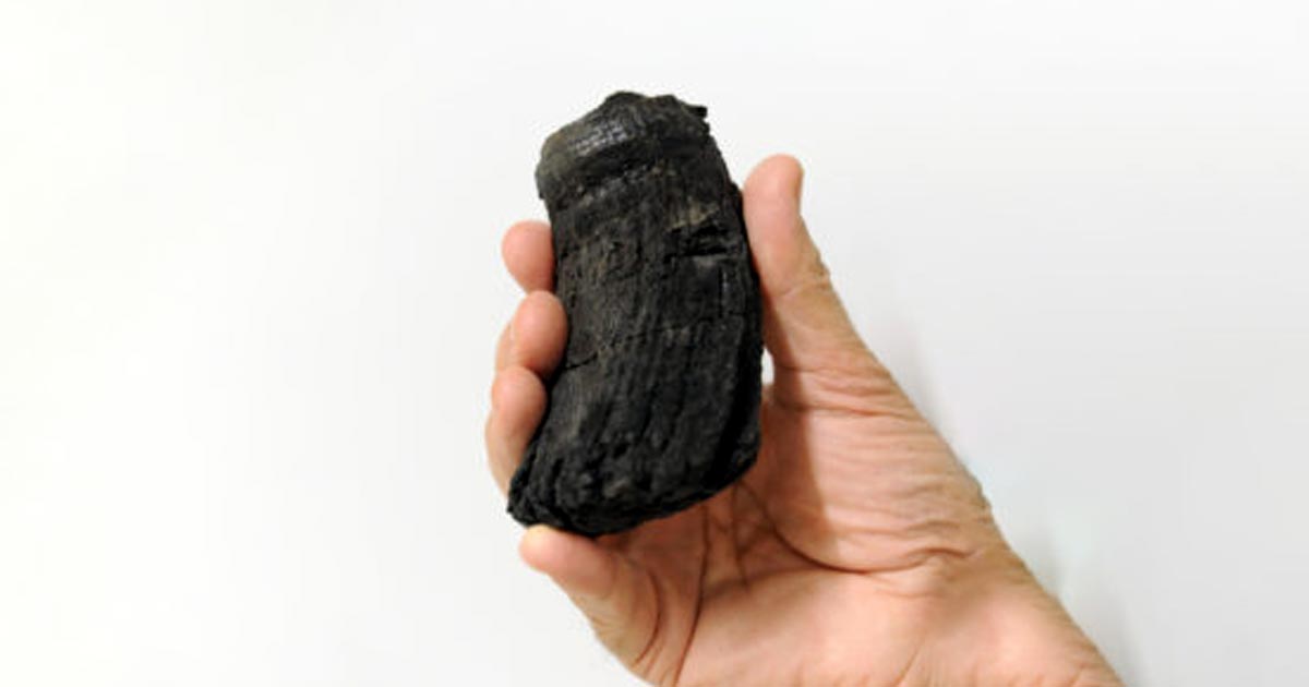 Paleontologists have found a giant ichthyosaur tooth in the Swiss Alps that re-writes what we know about their size. Glacial melt could meant more.