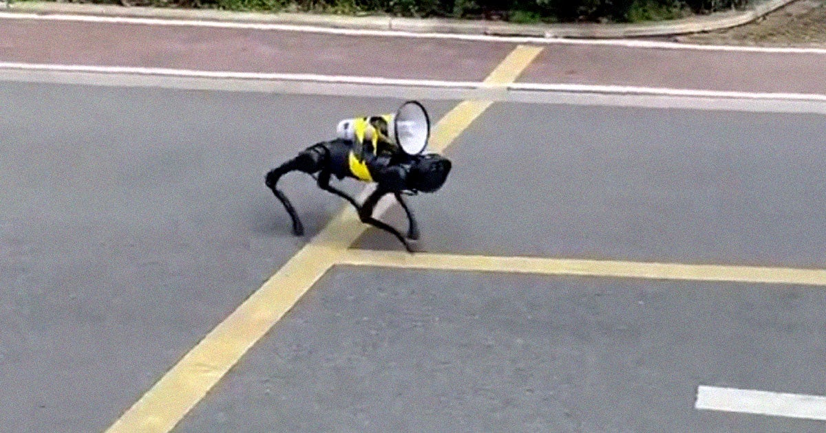 A robot dog in Shanghai, China, is roaming the streets barking COVID-19 safety instructions through a loudspeaker crudely strapped to its back.