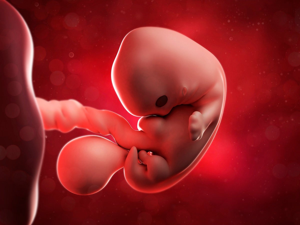 He Jiankui, the scientist who gained wide notoriety for genetically modifying two human babies in 2018, has been released from prison.