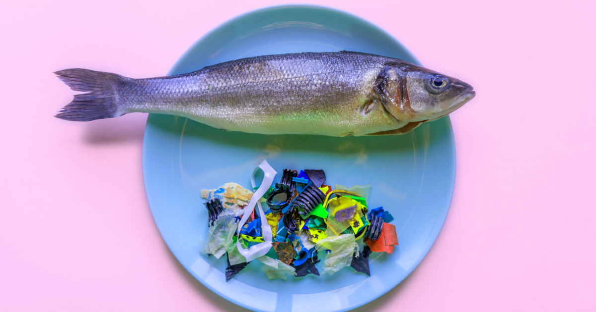 Humans eat a lot of microplastics every week. Here's our favorite memes about microplastic to lighten the situation a little.