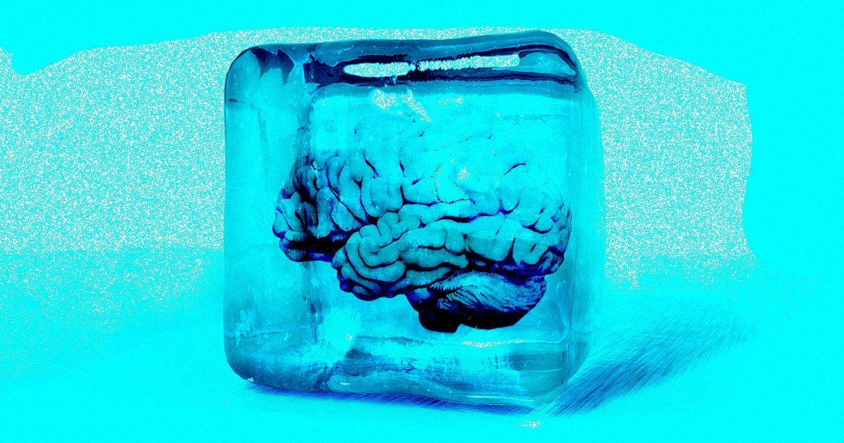 Two of the co-founders of a Russian cryogenics company called KrioRus are fighting over the ownership of dozens of cryogenically frozen brains.