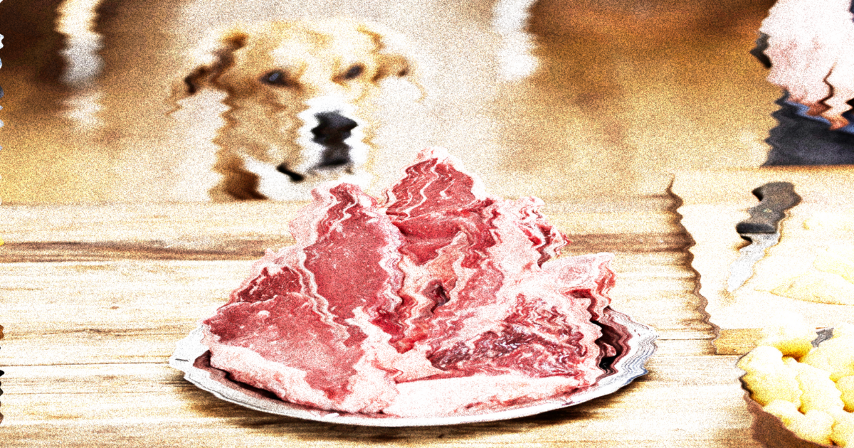 ProVeg, dedicated to reducing meat consumption, paid for a recent study that says vegan dog food I s healthier than those on conventional meat diets.