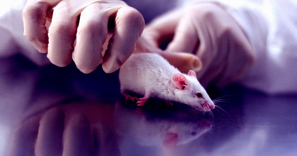 Using a new gene therapy technique, researchers at the University of California San Diego reduced neuropathic pain in mice that were experiencing spinal cord or other nerve injuries — and with no side effects.