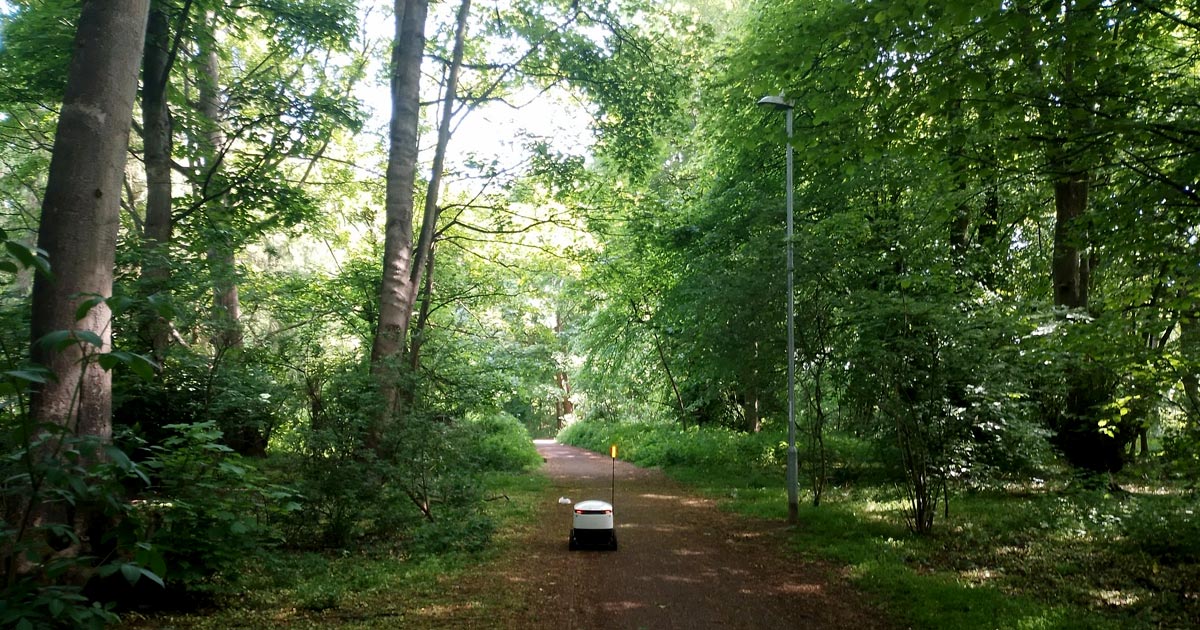 British history professor Matthew McCormack made a rather strange discovery during his morning bike ride: a delivery robot seemingly lost in the woods.