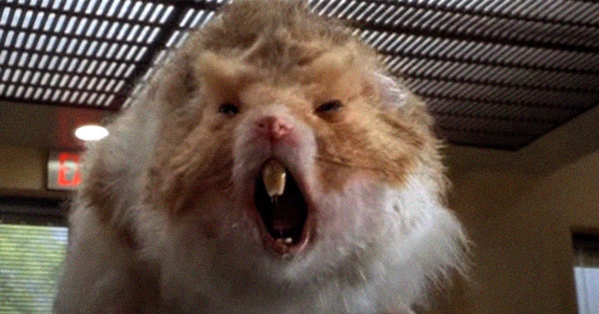 Scientists say that a little gene hacking turned adorable hamsters into vicious monstrosities. Let that be a lesson to you!