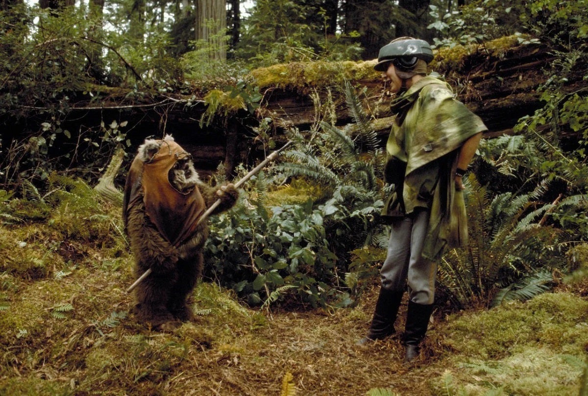 The California redwood forest where Star Wars filmed the Endor location has Ewoks no more — it was cut down, as are billions of trees each year.