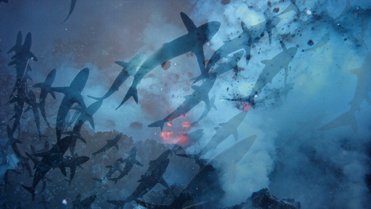 As if we needed anything else to worry about, a Pacific underwater volcano that is home to a bunch of sharks has erupted.