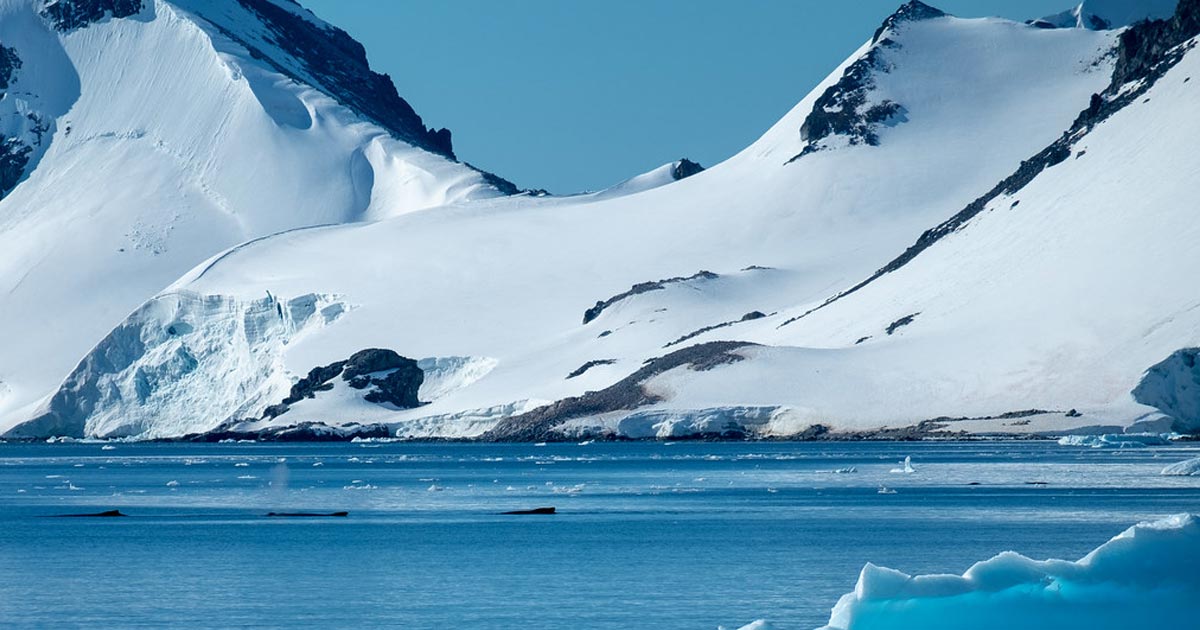 Microplastics have reached some of the most remote parts of Antarctica, one of the last natural strongholds against human development.