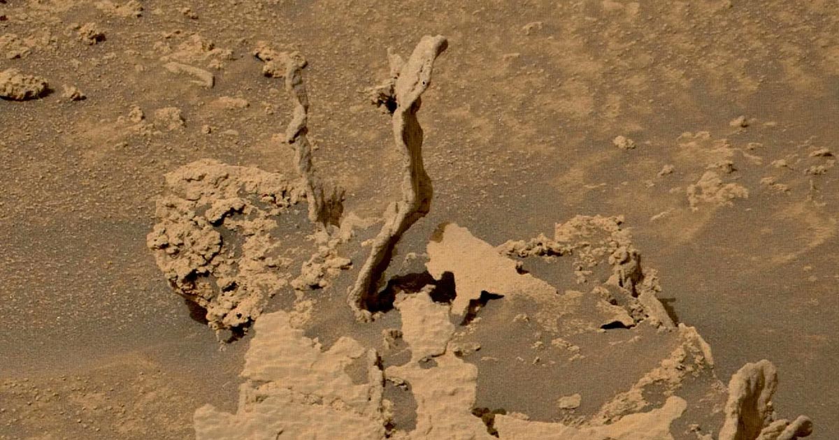 Now, we get to see Curiosity's next fascinating discovery: two ancient "spikes" of cemented rock that almost look like the petrified remains of ancient trees.