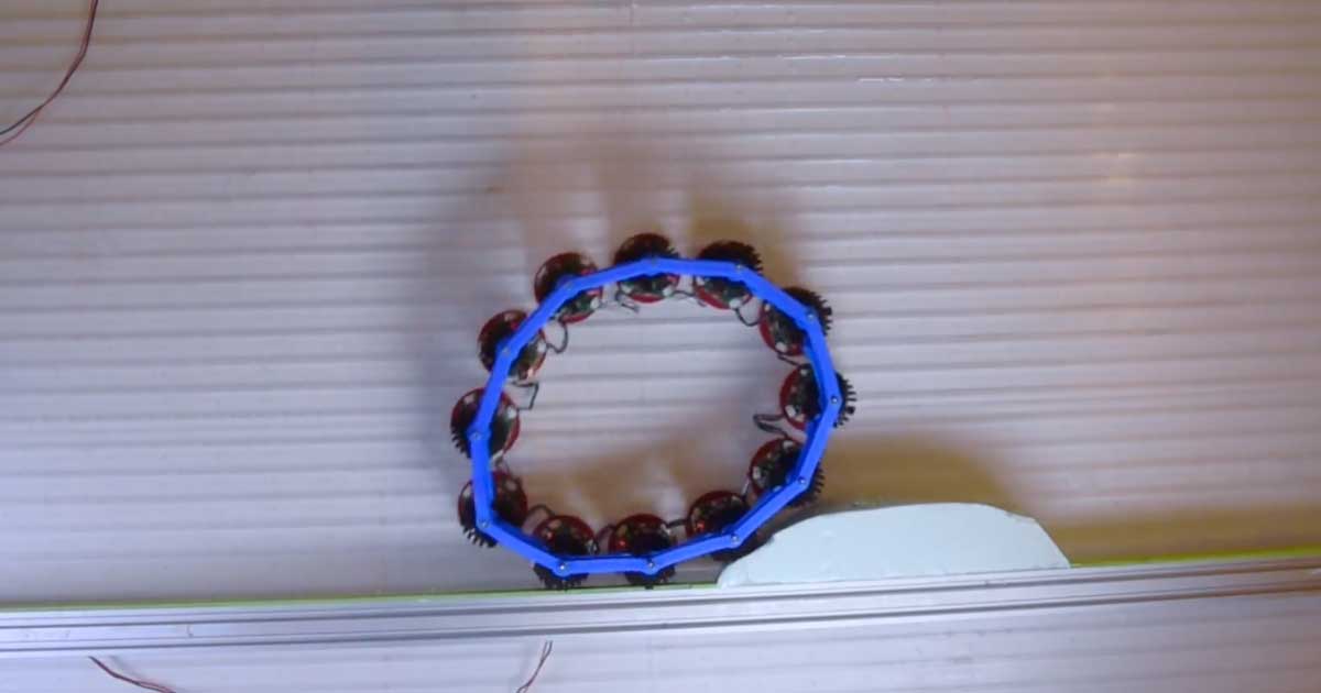 An international team of researchers have created a wriggly "odd wheel" robot that can spontaneously roll up an incline.