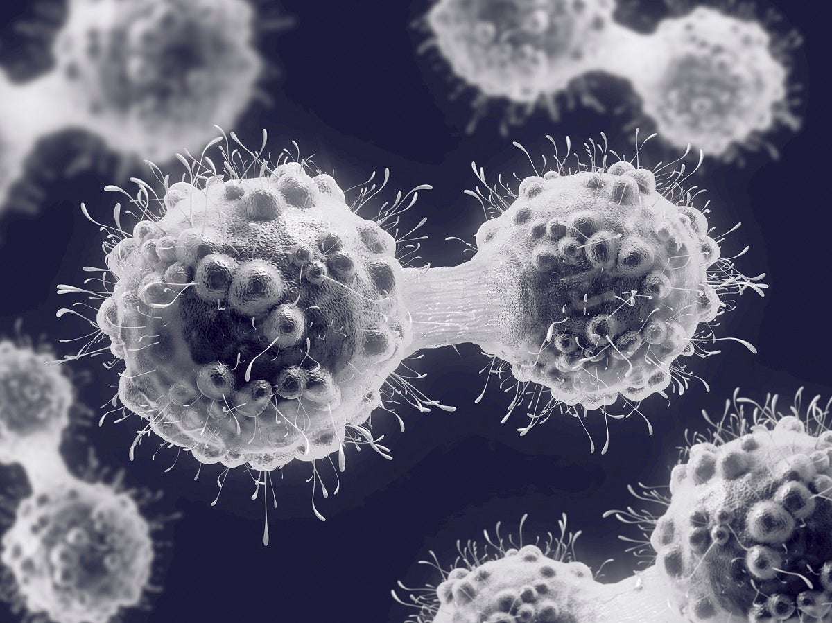 Doctors researching an experimental cancer treatment were shocked when every single patient in the small trial went into remission.
