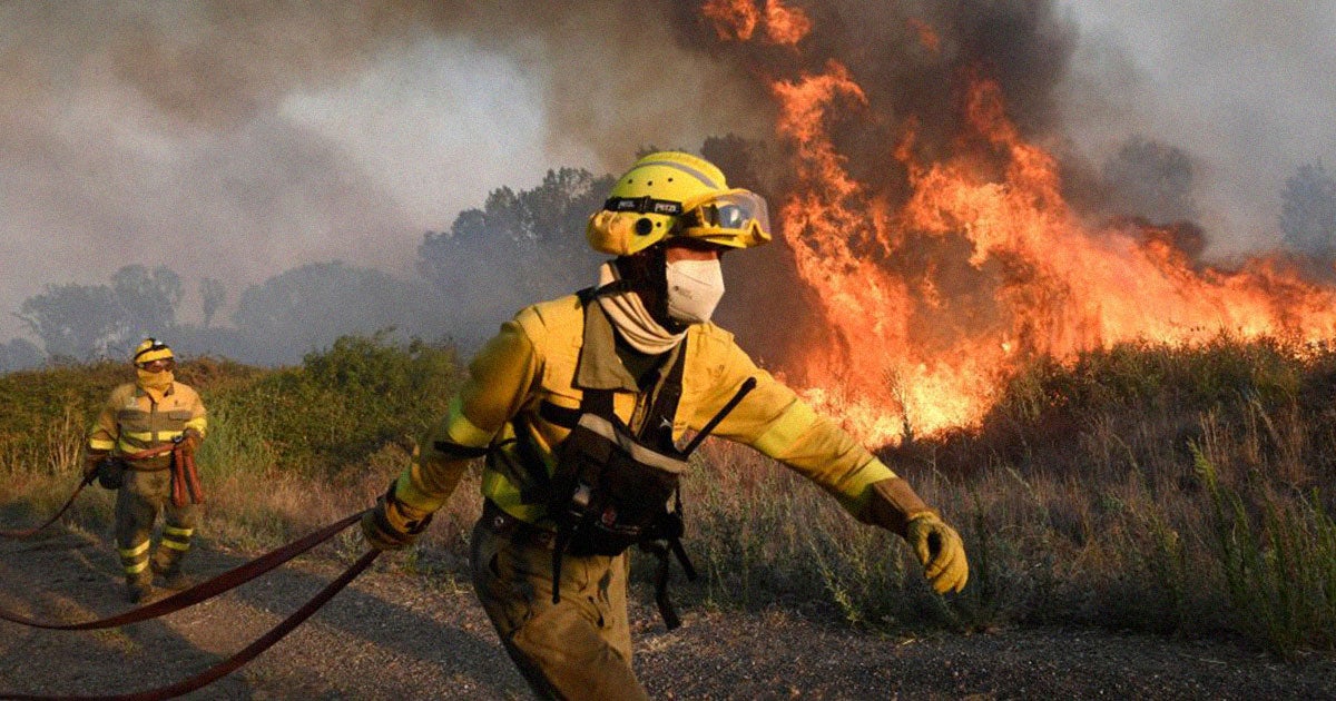 Land Life, a company that offers carbon offsets to polluting industries through planting trees, has accidentally started a massive forest fire in Spain.
