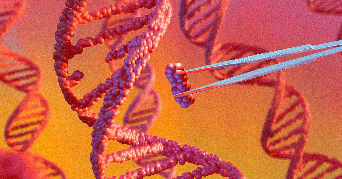 A team of researchers have injected a gene-editing serum into a live patient's liver with the goal of lowering their cholesterol.