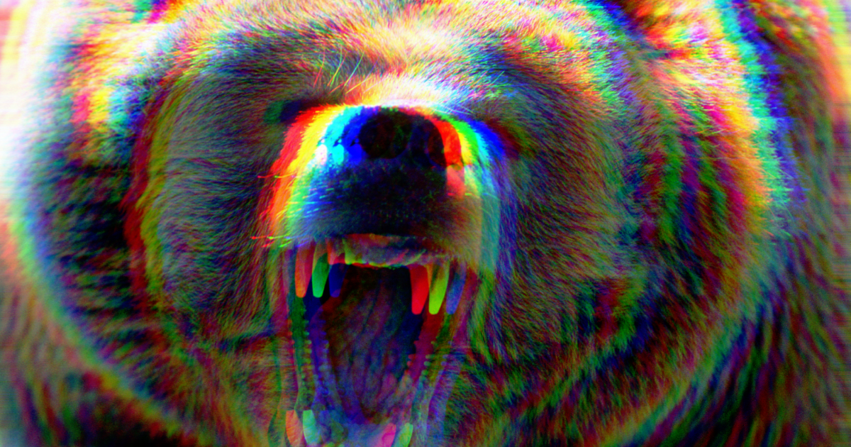 Japanese scientists say cultured human muscle cells can stay swole with their bear serum injection. Bears hibernate without losing muscle, unlike humans.