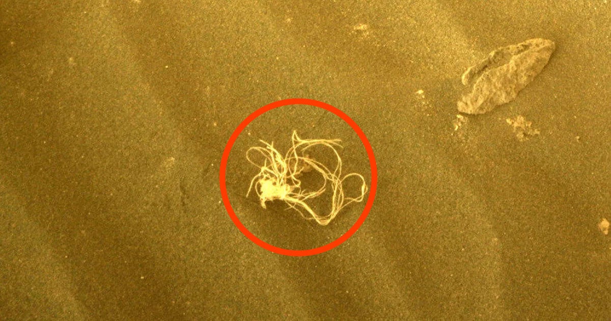 NASA's Perseverance Mars rover discovered something strange as it traversed Mars on Tuesday — a string-like material that looked like noodles.