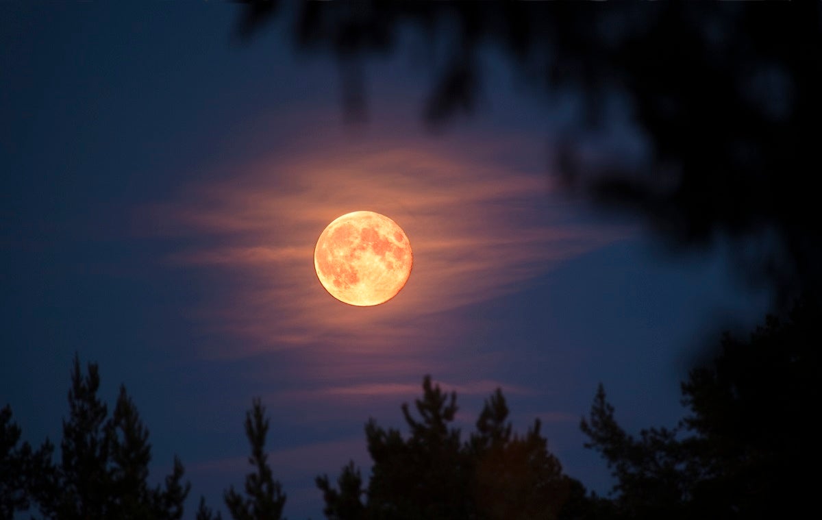 In light of a Florida family's space-loving young son's unexpected death, they're trying to raise the funds to rest his ashes on the Moon.