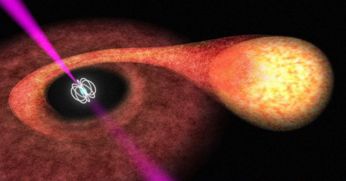 A "black widow" pulsar is devouring its neighboring star, and in the process has become the densest neutron star ever recorded.
