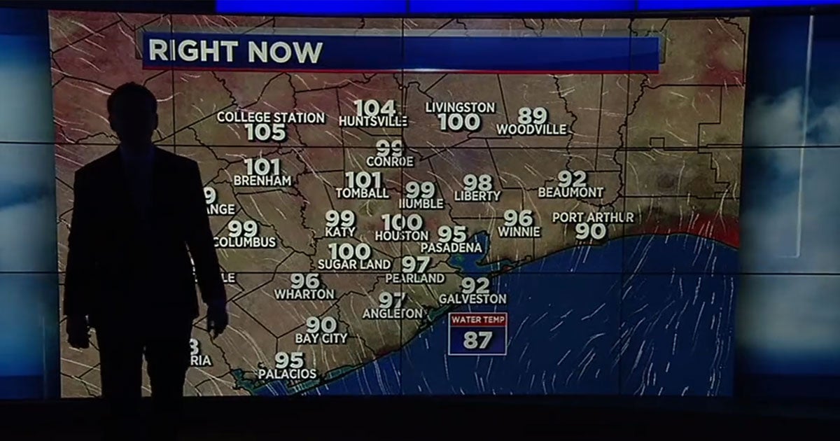 While a Texas weatherman was warning that the ongoing heat wave might cause widespread blackouts, the news studio's power suddenly went out.