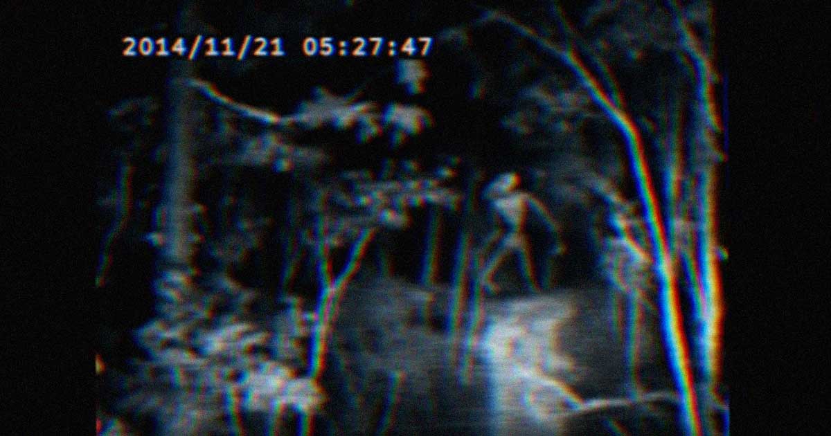 YouTube is once again screwing up its content moderation after designating a horror video as "for kids" and not allowing the creator to change the rating.