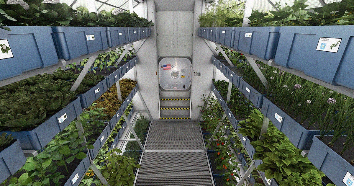 Private space company Redwire Corporation has announced plans for "the only commercially owned and operated spaceflight-qualified" greenhouse.