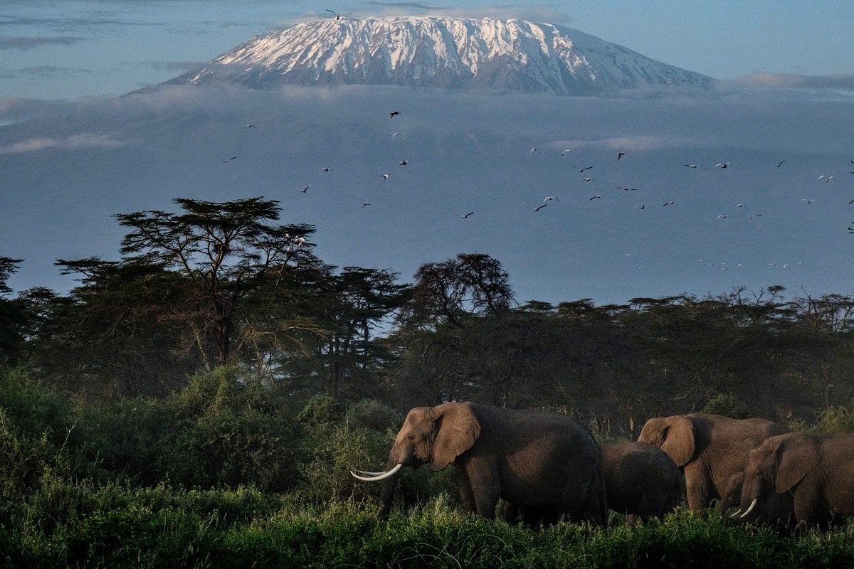 In an effort to bolster tourism, Tanzania just finished building the first installments of a high-speed internet network at Mount Kilimanjaro.