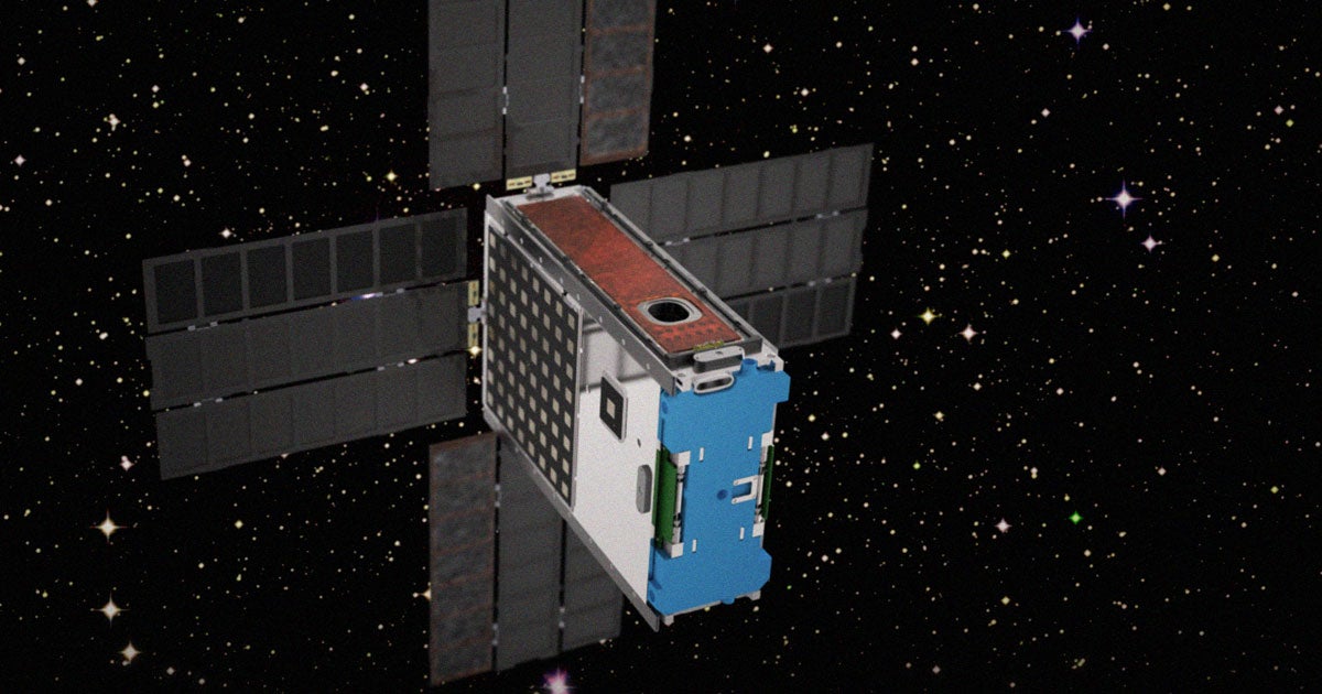 NASA has announced that the Artemis 1 will contain living yeast samples that will be dropped off on the Moon later this month — surely nothing can go wrong!