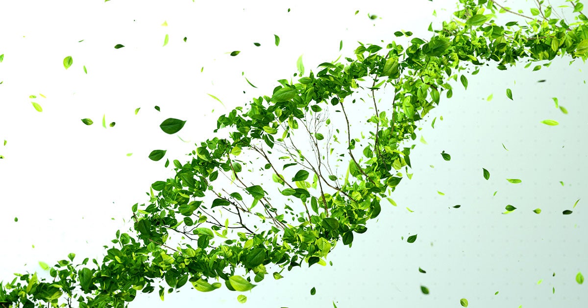 A scientist is attempting to build a framework for understanding "plant neurobiology," with the hope of answering the question: are plants conscious?