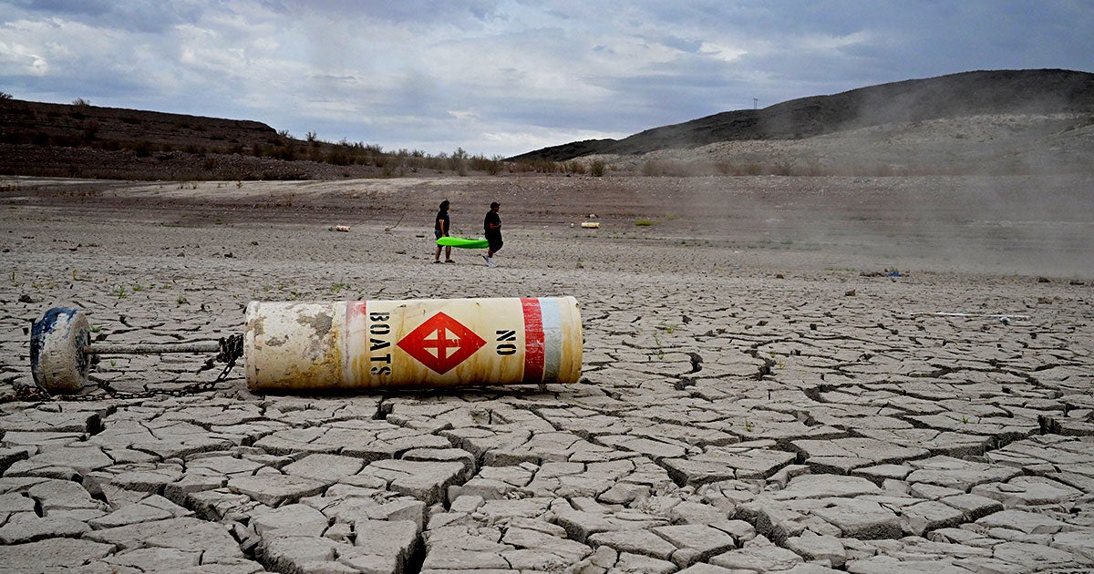 The Lake Mead Swim Beach, a popular spot for beachgoers not far from Las Vegas, seems to be absolutely teeming with human remains.