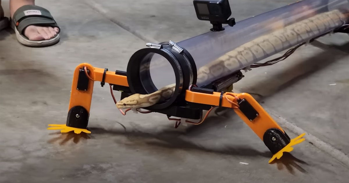 A science vlogger has given snakes their legs back — and the fact that led him to his mad invention is pretty outrageous.