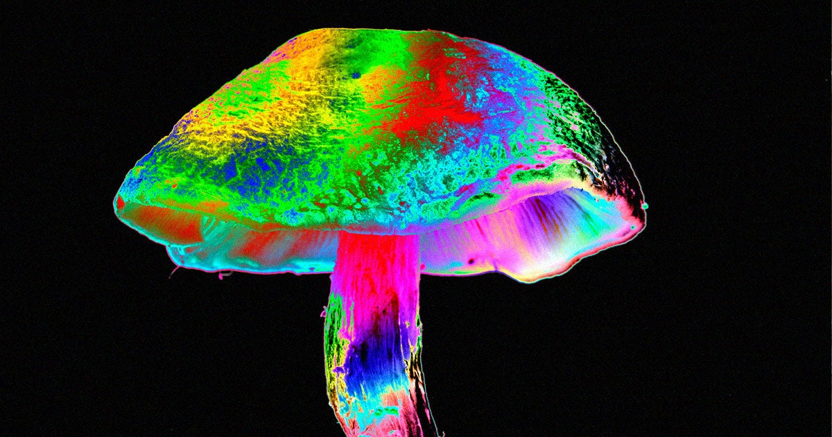 According to a new study, psilocybin, the psychedelic substance in magic mushrooms, could be used to treat alcohol use disorder.