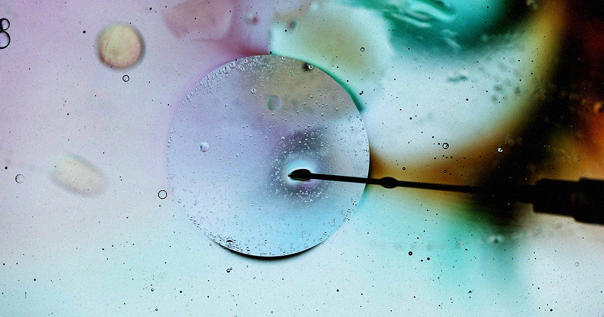 The world's first lab-grown "synthetic embryo" has once again roiled the stem cell ethics discourse even though the human version isn't coming anytime soon.