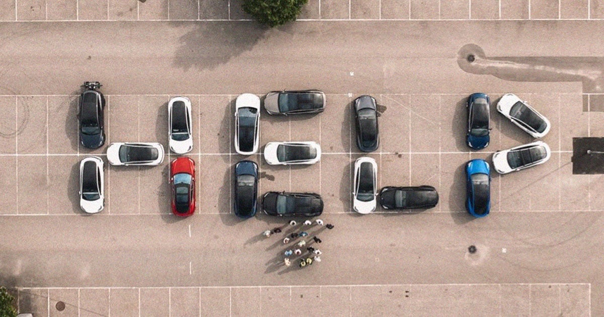 A group of fed up Tesla owners in Norway say they are going on a "hunger strike," because their cars suck.
