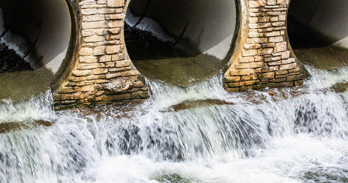 The UK's Environmental Agency announced that Britons may soon be drinking sewage water to counter the region's worsening environmental circumstances.