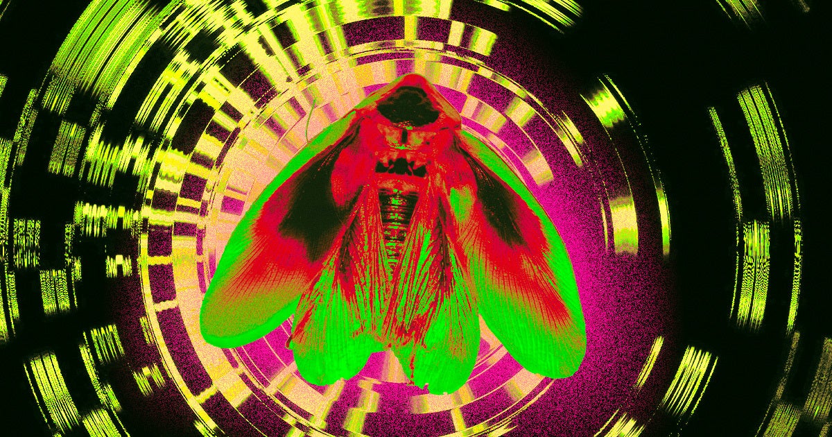 Worried about cyber-bugs taking over the planet? The Japanese researchers behind new cyborg cockroaches say their enhanced insects are there to do good.