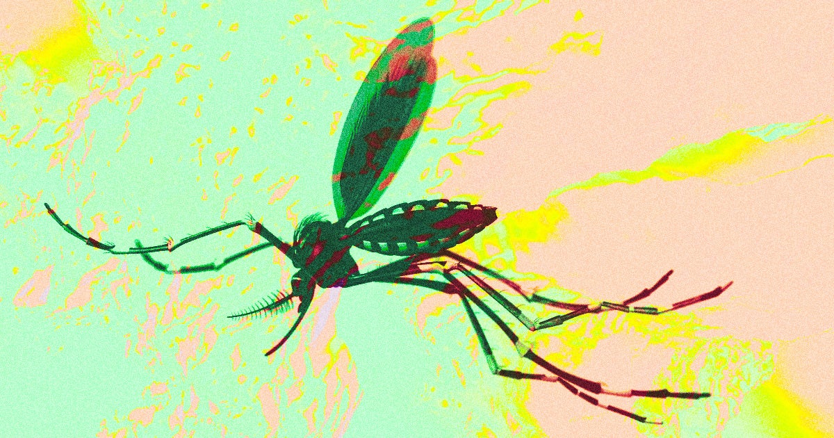 Scientists are using genetically modified parasites inside mosquitoes to deliver life-saving malaria vaccines in a new clinical study.