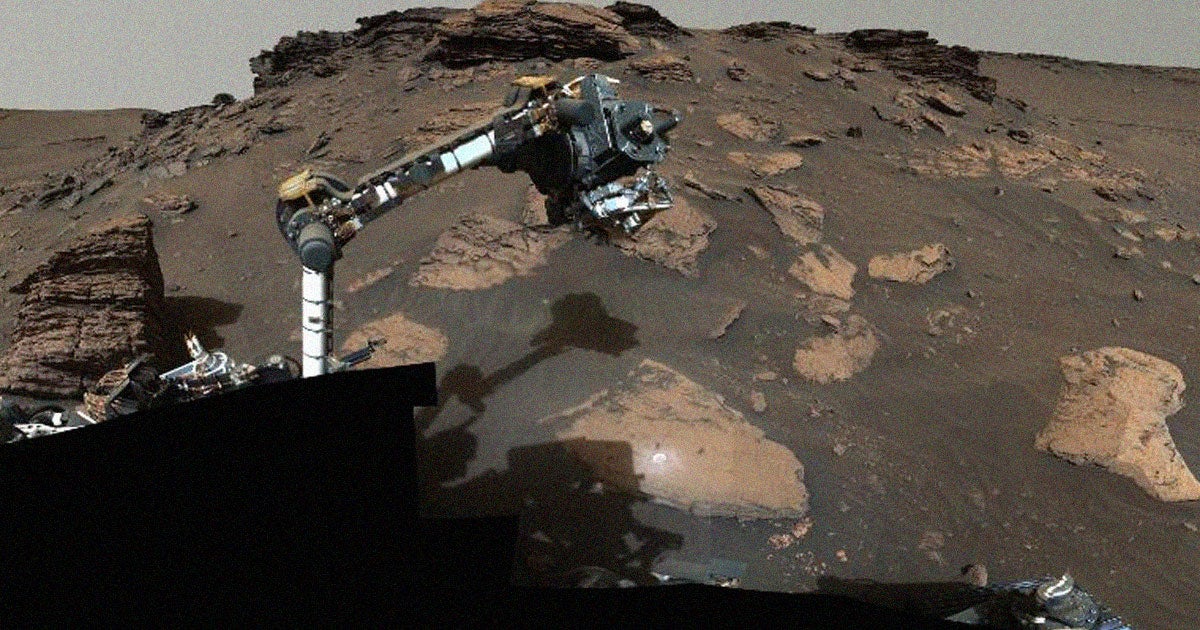The search for evidence of life on Mars ramps up as NASA's Perseverance rover has already secured some promising samples containing organic matter.