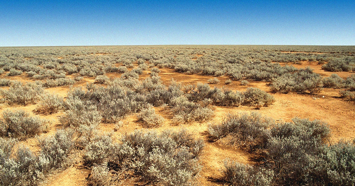 The remains of one newly discovered, ancient coral reef, believed to be some millions of years old, have been discovered in an Australian desert plain.