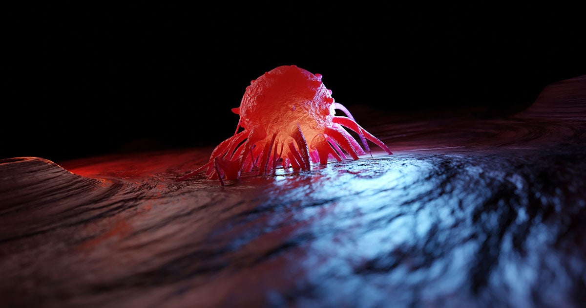 Scientists at UCSF say they've developed a new treatment that causes cancer cells to rat on themselves, allowing the immune system to easily kill them.