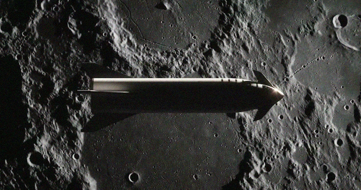 The world's first-ever private space tourist is hitching a ride to the Moon with his wife — and on a SpaceX Starship, no less. 