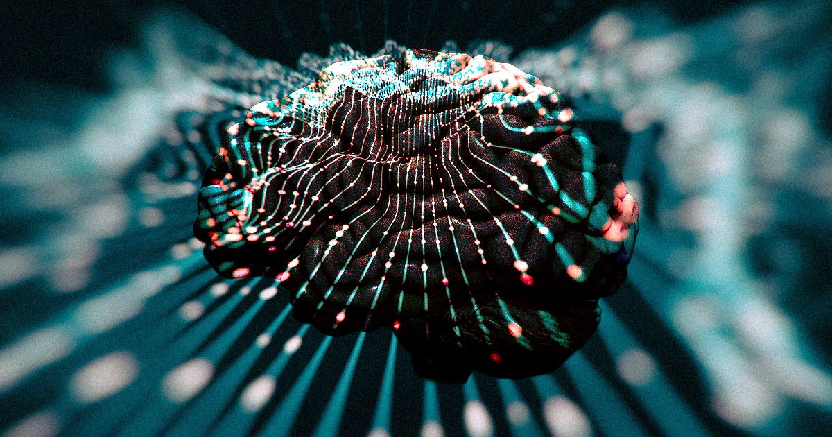 A study conducted by scientists from Trinity College Dublin could suggest that quantum processes are involved in the functions of our brains.