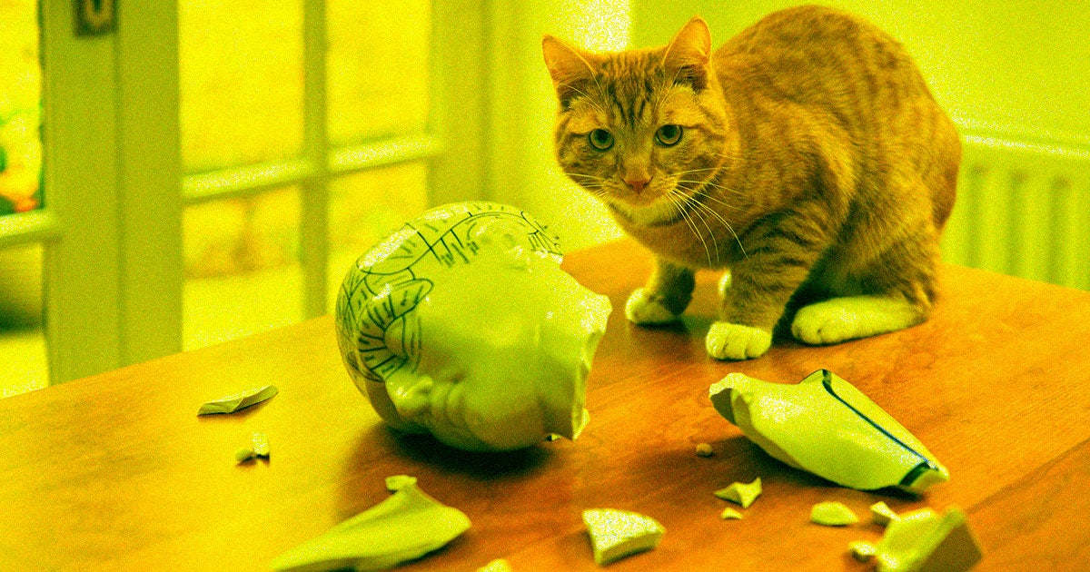 Every cat person has suspected that their cats are ignoring them — and now, researchers seem to have proven that they're right. 