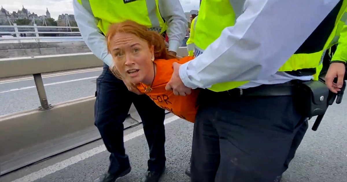 On London's Waterloo bridge, a climate activist was filmed giving an interview while quite literally being toted away by police officers during a protest.