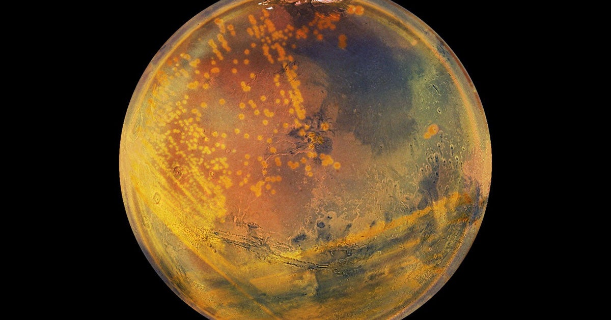 A bold new theory proposes that a "Conan the Bacterium" microorganism could survive under Mars' barren surface for hundreds of millions of years.
