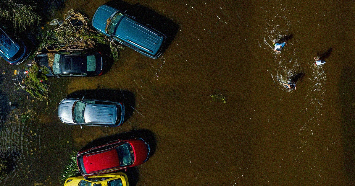 Hurricane Ian has rendered Florida's once beautiful blue-green waters into a horrible brown sludge that "looks like root beer" and smells like "dead fish."